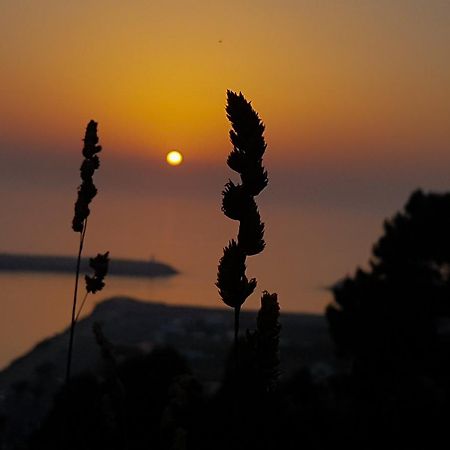 Your Nest In Nazare - Ocean View Villa ภายนอก รูปภาพ