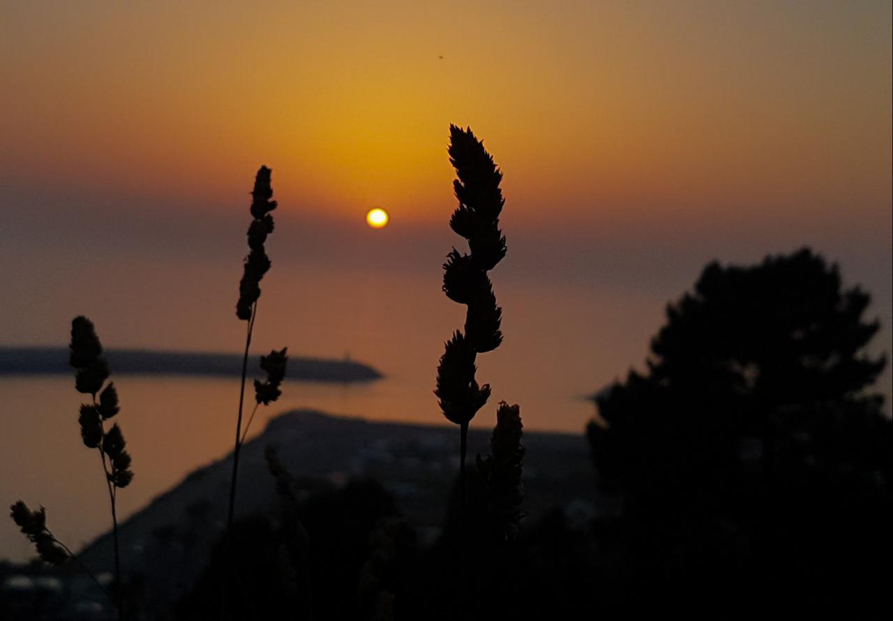 Your Nest In Nazare - Ocean View Villa ภายนอก รูปภาพ